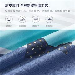 罗莱家纺/LUOLAI 全棉斜纹四件套 纯棉床单被套 时尚条纹格子 差不多先生 1.8米床 220*250cm