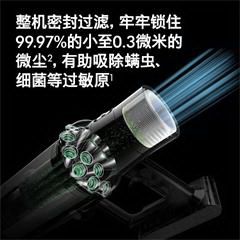 戴森/DysonV10 Motorhead Origin 吸尘器家用 除螨无线宠物家庭适用 家电 【V10 MH Origin】
