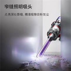 戴森/Dyson 吸尘器 V11 Fluffy Extra吸尘器家用除螨无线宠物家庭适用家