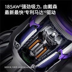 戴森/Dyson 吸尘器 V11 Fluffy Extra吸尘器家用除螨无线宠物家庭适用家