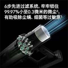戴森/Dyson 吸尘器 V11 Fluffy Extra吸尘器家用除螨无线宠物家庭适用家