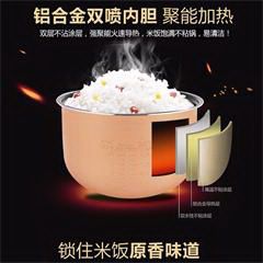 海牌/HAIPAI 家用大容量智能多功能全自动 电饭锅 5升 CF-FB001