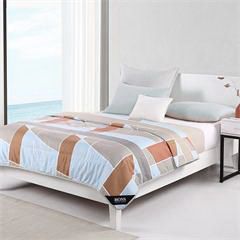 Hugo Boss 城市之光舒柔被 HBXW-036（ 203×230cm）370g