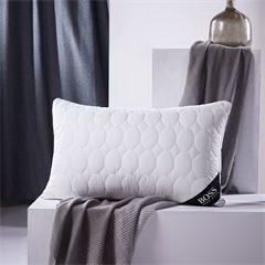 Hugo Boss 舒适鹅毛枕 HBZX-008 （47×73×18/8cm） 1200g