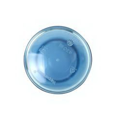 特百惠/Tupperware 莹彩随心杯 430ML  冰水蓝