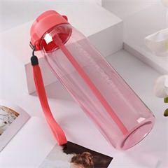 特百惠/Tupperware 乐动随心壶 750ml  乐动石榴红