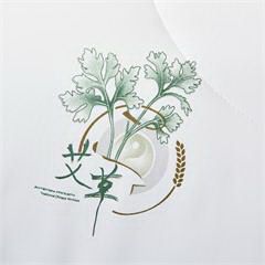 路易卡罗/Louis Kellog 健康艾香被 LK-8765 200x230cm