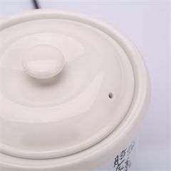 TCL 膳食养生炖锅 TH-J7P1 0.7L