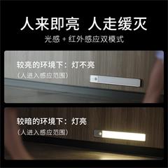 几光/EZVALO led超薄usb衣柜橱柜书桌玄关过道智能人体感应楼道免布线小夜灯 30CM Flora