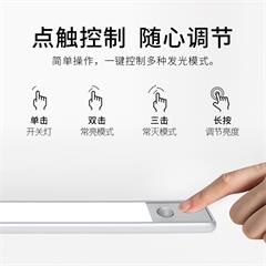 几光/EZVALO led超薄usb衣柜橱柜书桌玄关过道智能人体感应楼道免布线小夜灯 30CM Flora