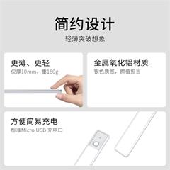 几光/EZVALO led超薄usb衣柜橱柜书桌玄关过道智能人体感应楼道免布线小夜灯 30CM Flora