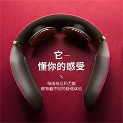 SKG/ 未来穿戴 4098 智能颈椎按摩器(尊贵款)