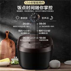 苏泊尔/SUPOR 电饭煲电饭锅 4L 微压力焖煮CFXB40FC829D-75（24小时预约） 樽贵金