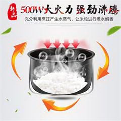 苏泊尔/SUPOR  迷你电饭煲机械式学生电饭锅 3L 4L可选 CFXB30YB807-50 3L 金色
