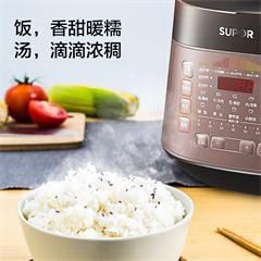 苏泊尔/SUPOR 阿里智能电压力锅 CYSB50FCW20QT-100