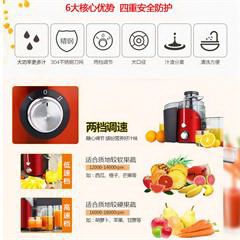 苏泊尔/SUPOR  榨汁机 TJE06A-400