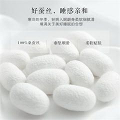 水星家纺/Mercury 云锦南轩桑蚕丝春秋被 100%桑蚕丝（长丝）500g 00%长绒棉 60S  200*230cm 白色