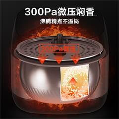 美的/Midea 电饭煲 HS3033 3L