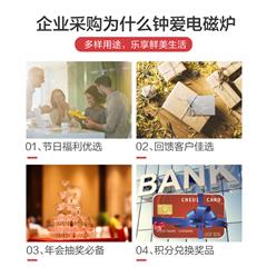 美的/Midea 电磁炉 HT2117HM 2100W 触摸式