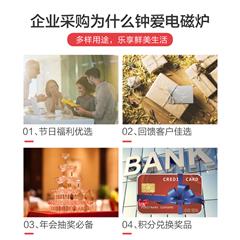 美的/Midea 电磁炉 RT2170 2100W 触摸式