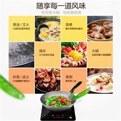 美的/Midea 电磁炉 RT2170 2100W 触摸式