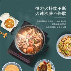 美的/Midea 电磁炉 RH2269 2200W 触摸式