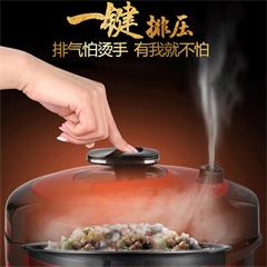 美的/Midea 电压力锅 WQC50A5 5L 一锅双胆
