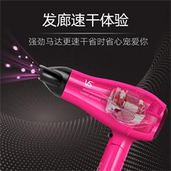 沙宣/VS 电吹风 VS289PCN 2档热风 1700W