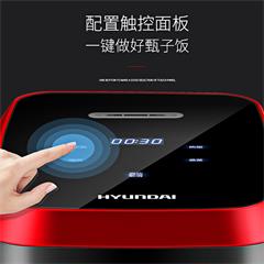 韩国现代/HYUNDAI 降糖饭煲 QC-FB5092 4L