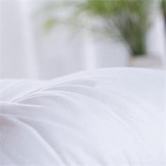 T优家纺 黄荆子对枕 48*74cm/650g 100%聚酯纤维 聚酯纤维+黄荆子100克