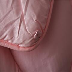 恒源祥/Reigee 红粉丽人亲舒被 HYX048BZ 200*230cm 1100g