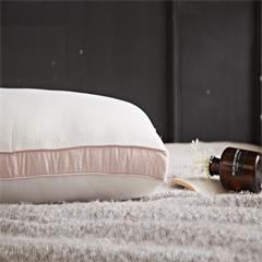 恒源祥/Reigee 大豆枕 HYX025ZX 聚酯纤维 48*74cm 1000g