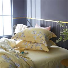 恒源祥/Reigee 花雨露（黄） TBK3030 枕套48*74cm*2  被套220*240cm  床单270*245cm