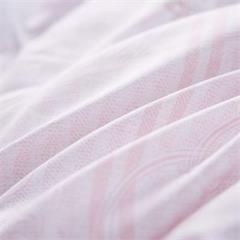恒源祥/Reigee 芬芳花语亲舒被 TGB2040 200x230cm 1500g