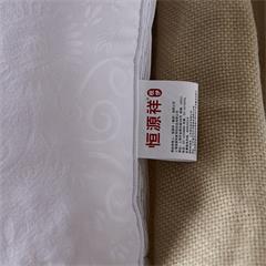 恒源祥/Reigee 富贵羊毛枕 TGZ1006 1000g 48*74cm