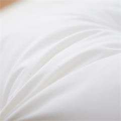 恒源祥/Reigee 凹型护颈枕 TZT1025 750g 40*70cm