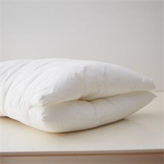 恒源祥/Reigee 凹型护颈枕 TZT1025 750g 40*70cm
