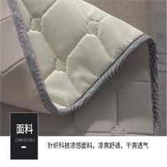 金丝莉/Kintheri 抑菌乳胶席 JX-1137 席 180×200cm 枕席 48×74cm×2