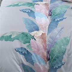 金丝莉/Kintheri 尊奢全棉套件 知否 被套200×230cm 床单245×250cm 枕套48×74cm×2