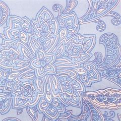 金丝莉/Kintheri 全棉阳绒套件 风度翩翩 被套200×230cm  床单245×250cm 套48×74cm×2